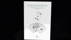 Subtle Secrets 2 by Thibault Ternon