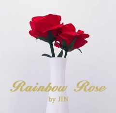 Rainbow Rose by JIN