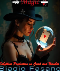 Sibylline Prediction on Card and Number by Biagio Fasano (B. Magic)(no watermark)