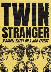 Twin Stranger by Jake Keane