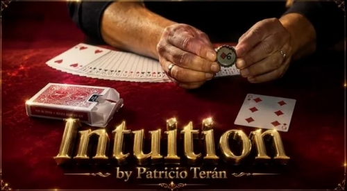 Intuition by Patricio Teran