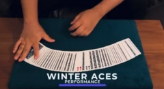 Winter Aces by Keito K