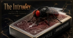 The Intruder by patricio Teran