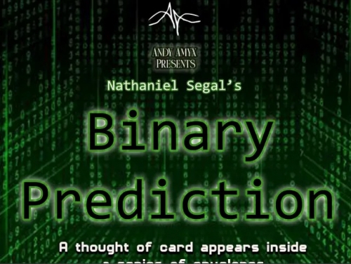 Binary Prediction by Nathaniel Segal