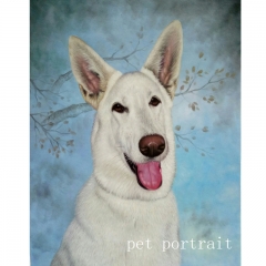 pet portrait