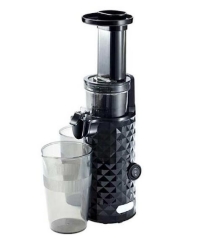 Small Slow Juicer