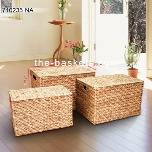 Water hyacinth chest