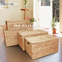 Water hyacinth chest