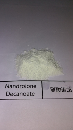 Nandrolone decanoate