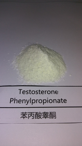 Testosterone Phenylpropionate