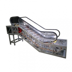 Vocational Education Equipment Escalator Teaching Model Didactic Equipment