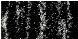 Microstructure of Conventional Melted Material