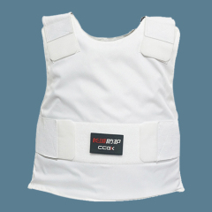 Concealable Soft Body Armor