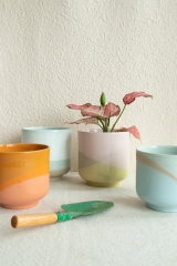 Art Dip Planters Collection