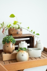 Adorable Zoo Planters Collection