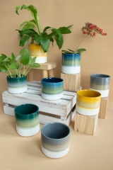 Joyful Mix Planters Collection