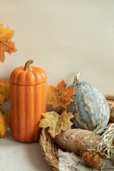Autumn Pumpkin Cookware