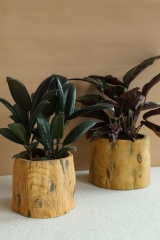 Natural Vibe Ceramic Planters and Candleholders