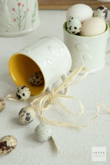 Green and White Embossed Bunnies Tableware Collection