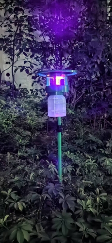Solar Insect Trap Lamp