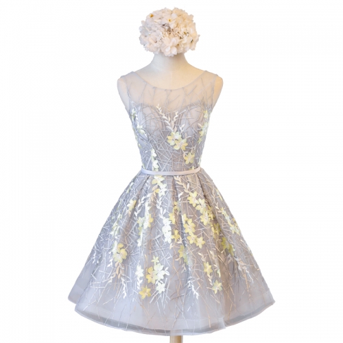 Short Style Coloring Bridesmaid Dresses BZ23