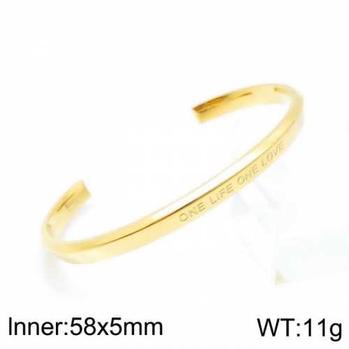 Stainless steel bangle KB140221-K-21