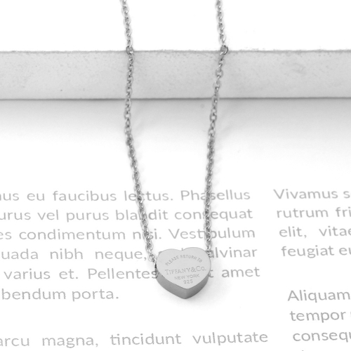 Stainless Steel Brand Necklace-P1004a