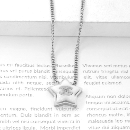 Stainless Steel Brand Necklace-P149c0