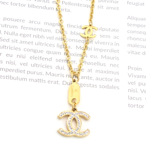 Stainless Steel Brand Necklace-P168f