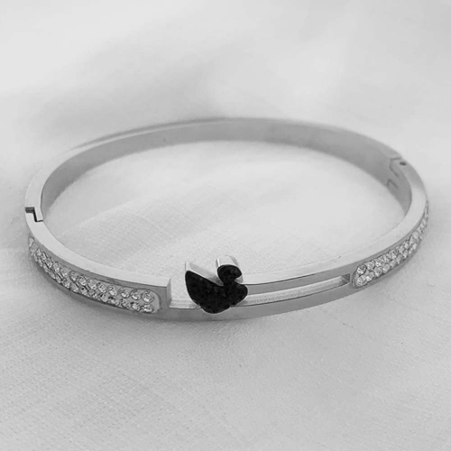 Stainless Steel Brand Bangle-RR210701-Rrs0294-23