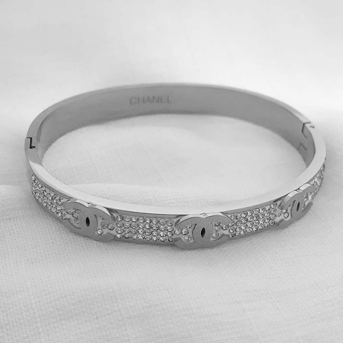 Stainless Steel Brand Bangle-RR210701-Rrs0318-24