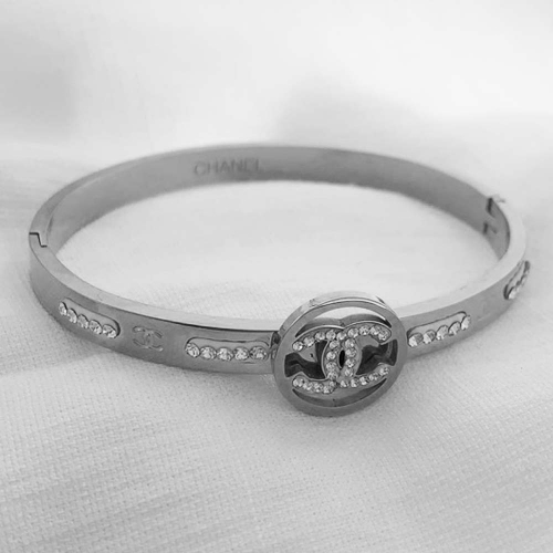 Stainless Steel Brand Bangle-RR210701-Rrs0302-23