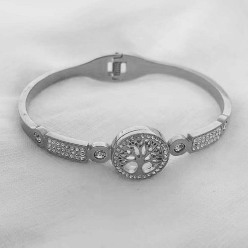 Stainless Steel Brand Bangle-RR210701-Rrs0305-23