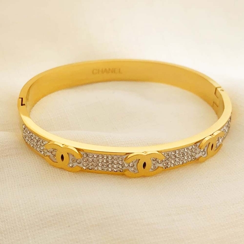 Stainless Steel Brand Bangle-RR210701-Rrs0319-25