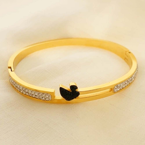 Stainless Steel Brand Bangle-RR210701-Rrs0295-24