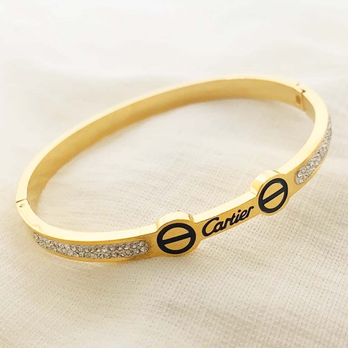 Stainless Steel Brand Bangle-RRs0366-25