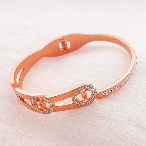 Stainless Steel Brand Bangle-RRs0354-26