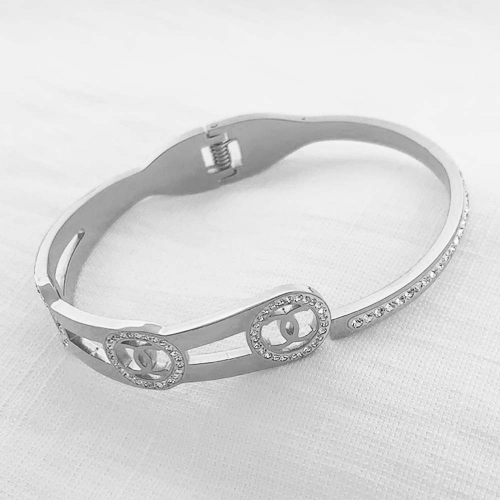 Stainless Steel Brand Bangle-RRs0352-24