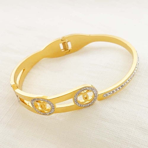 Stainless Steel Brand Bangle-RRs0353-25