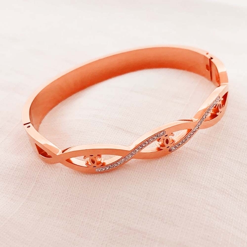 Stainless Steel Brand Bangle-RRs0351-26