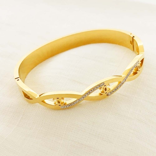 Stainless Steel Brand Bangle-RRs0350-25