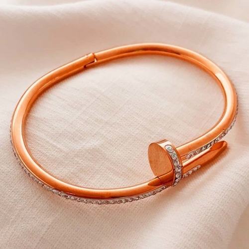 Stainless Steel Brand Bangle-RR210827-Rrs0286-23