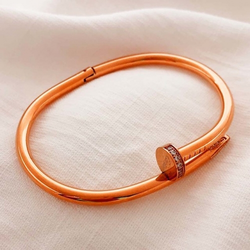 Stainless Steel Brand Bangle-RR210827-Rrs0290-23