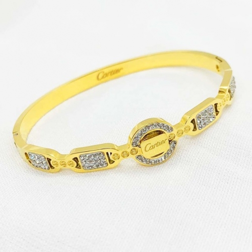 Stainless Steel Brand Bangle-RR210827-Rrs03839-24