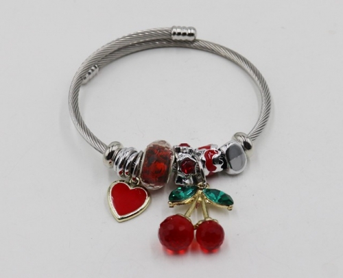 Stainless Steel Bangle with alloy copper charms-DH211112-IMG_6928-9