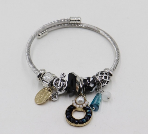 Stainless Steel Bangle with alloy copper charms-DH211112-IMG_6945-9