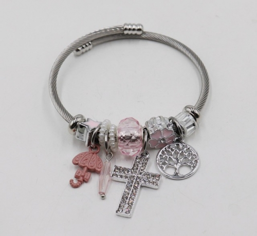 Stainless Steel Bangle with alloy copper charms-DH211112-IMG_6930-9