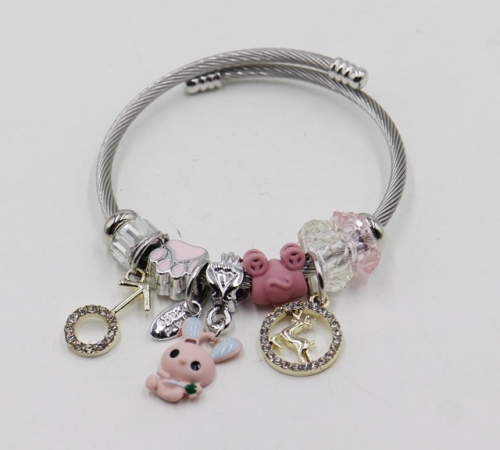 Stainless Steel Bangle with alloy copper charms-DH211112-IMG_6948-9