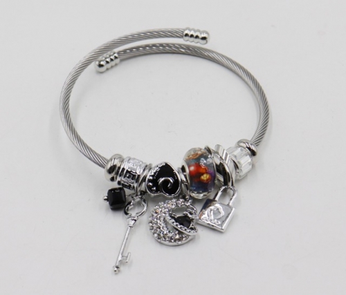 Stainless Steel Bangle with alloy copper charms-DH211112-IMG_6949-9