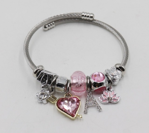 Stainless Steel Bangle with alloy copper charms-DH211112-IMG_6957-9